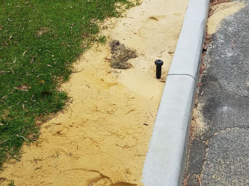 Ventnor Ave Kerb Work.jpg