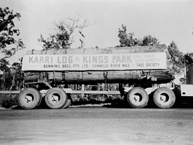 Karri Log.jpg